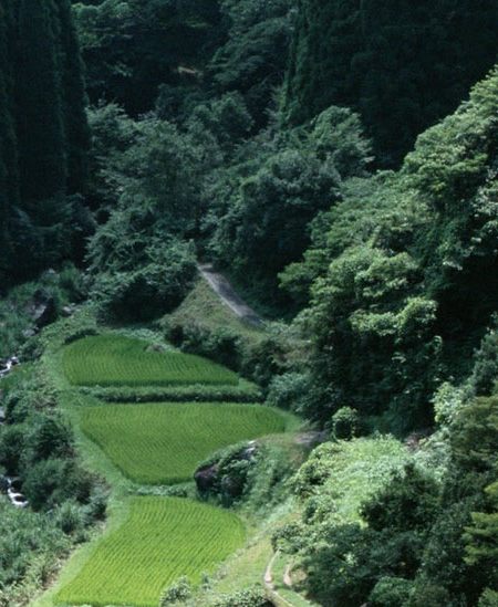 粉象生活怎么打车