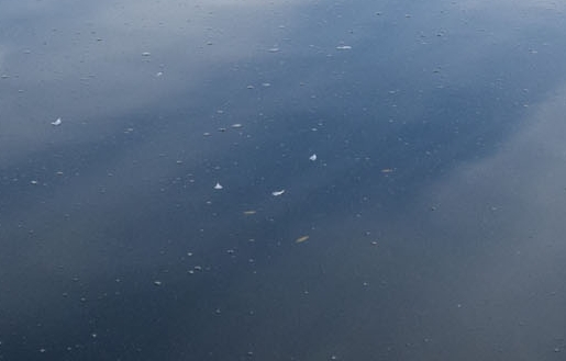 粉象生活被查封