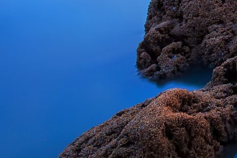 粉象生活订单怎么删除