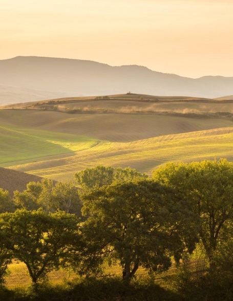 粉象生活最新玩法