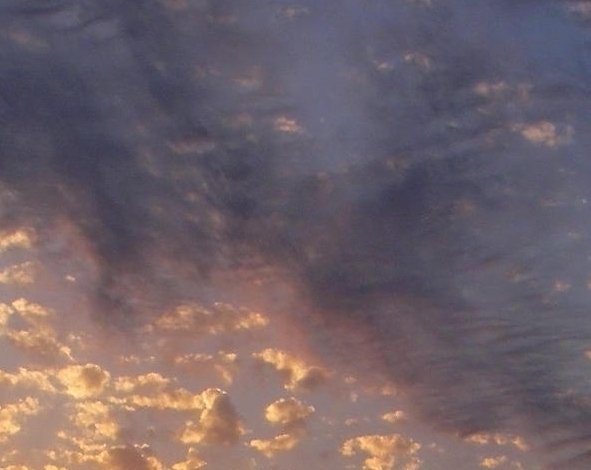 粉象生活充值话费