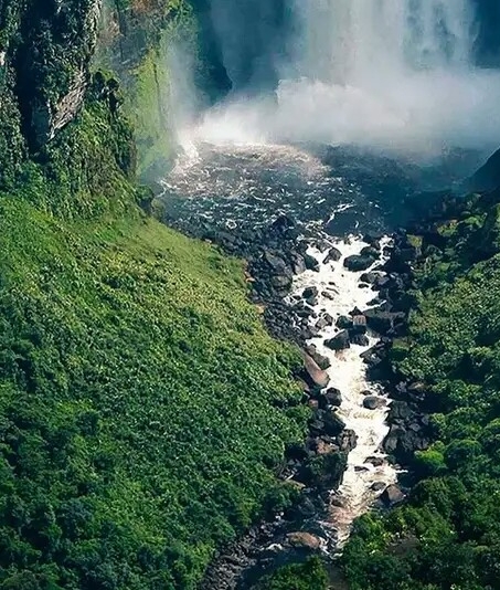 粉象生活10000积分多少钱