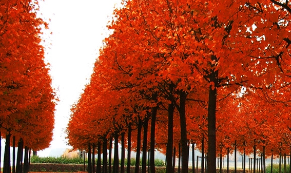 粉象生活超省钱