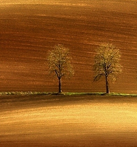 粉象生活分现金页面截图