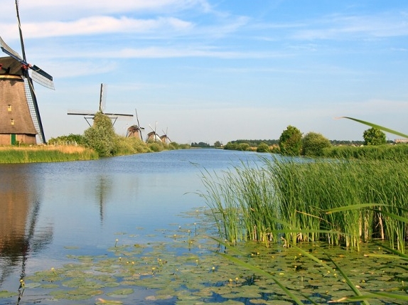 粉象生活怎么赚钱的