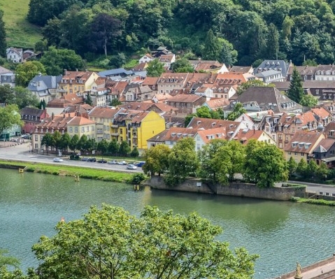 掌上生活邀请好友砍价