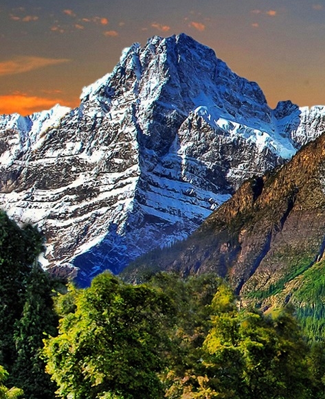 粉象生活的收益怎么计算