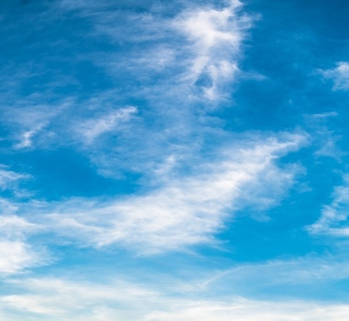 粉象生活邀请人