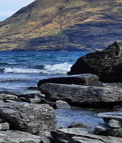粉象生活是做什么的