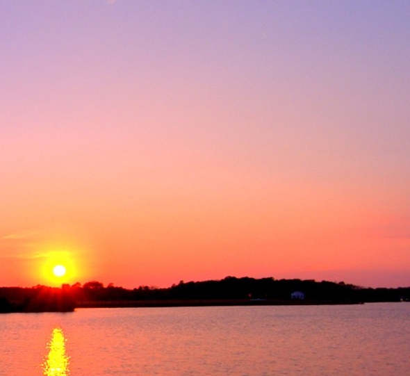 粉象生活转播号