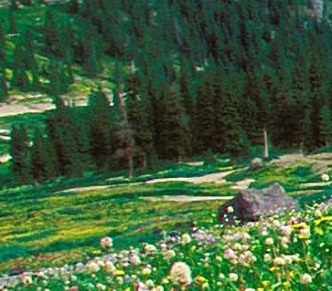 秦皇岛粉象生活