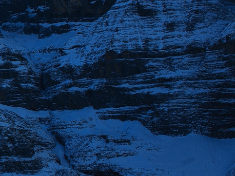 福建粉象生活下载