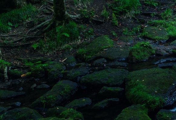 赤峰最低生活保障