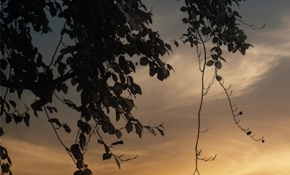 粉象生活客服兼职