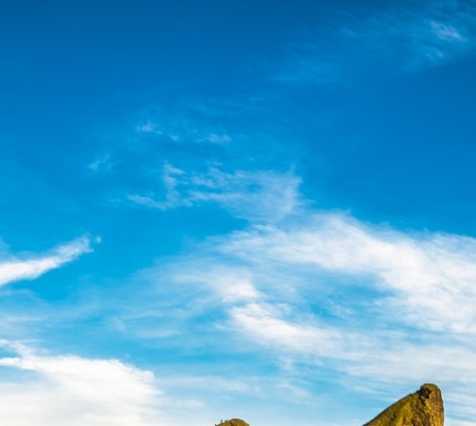 粉象生活可以赚钱吗