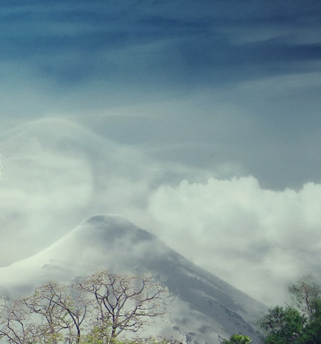 粉象生活发布产品