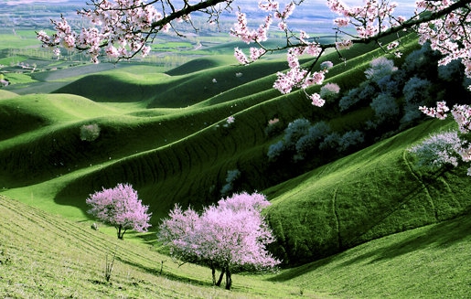 粉象生活真实收入