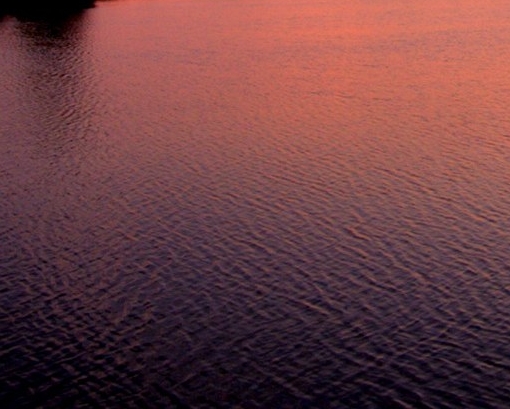 粉象生活怎么赚钱的