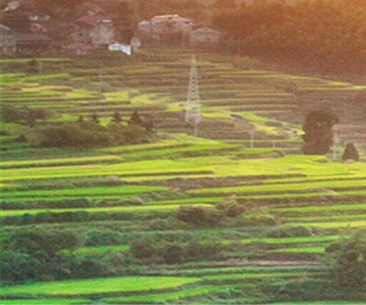 粉象生活修改头像