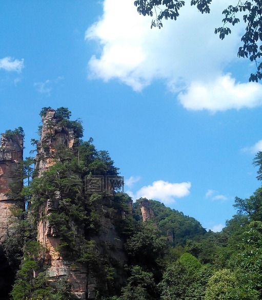 大白的粉象生活