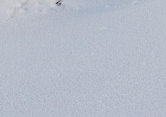 湖南低聚肽粉代理