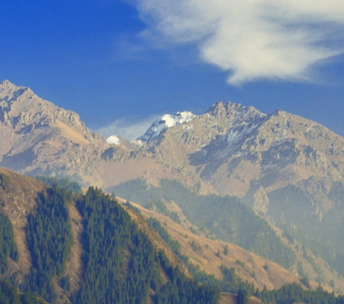 做粉象生活收费吗