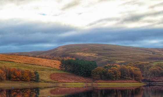 宝妈在家可以干点什么挣钱