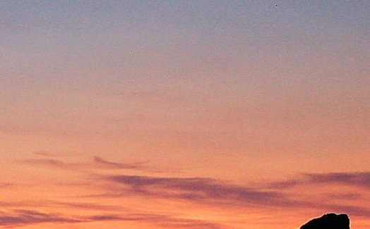 粉象生活下载app