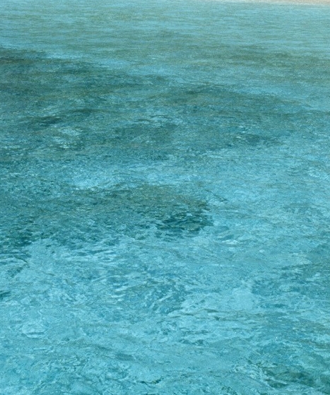 粉象生活邀请码