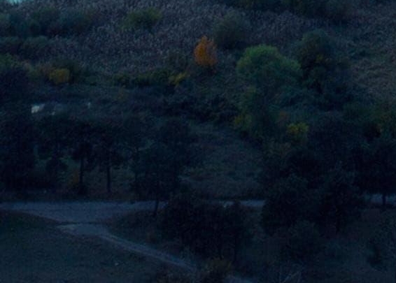 最新版粉象生活app下载安装