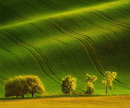 泉州粉象生活app