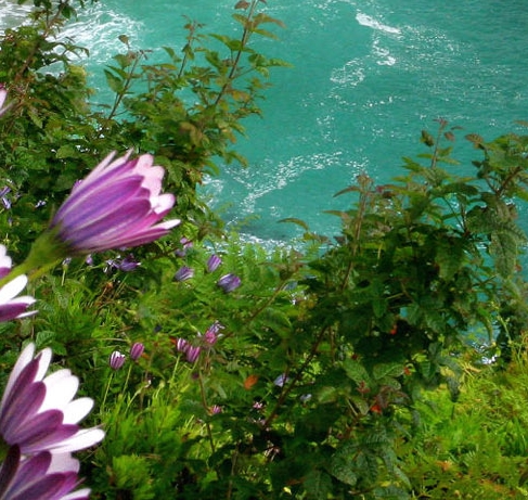 粉象生活合法吗