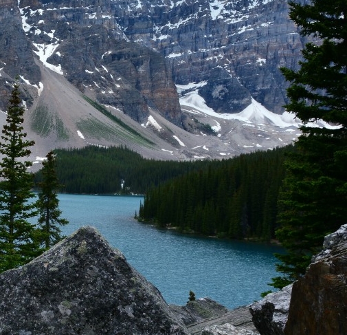 肇庆粉象生活加盟代理