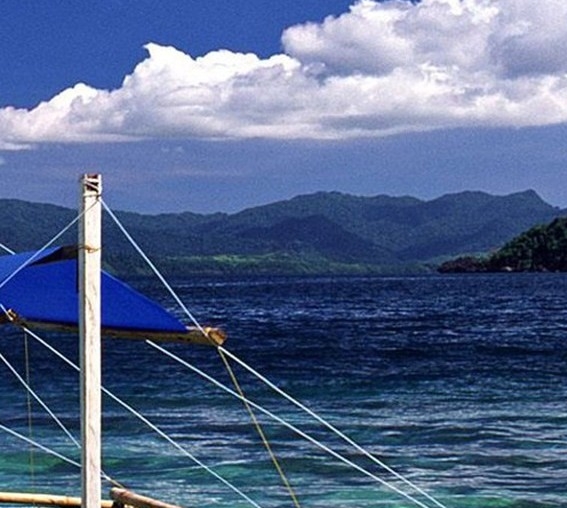 粉象生活是干嘛的