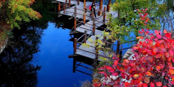 粉象生活怎么退货给别人