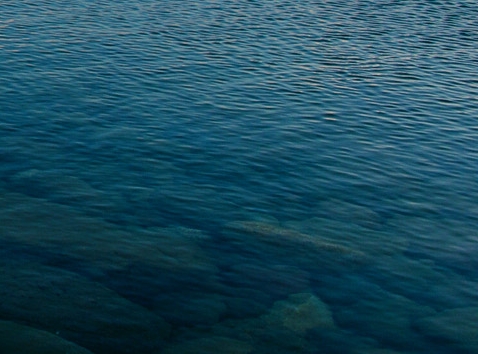 懒人生活必备神器大全