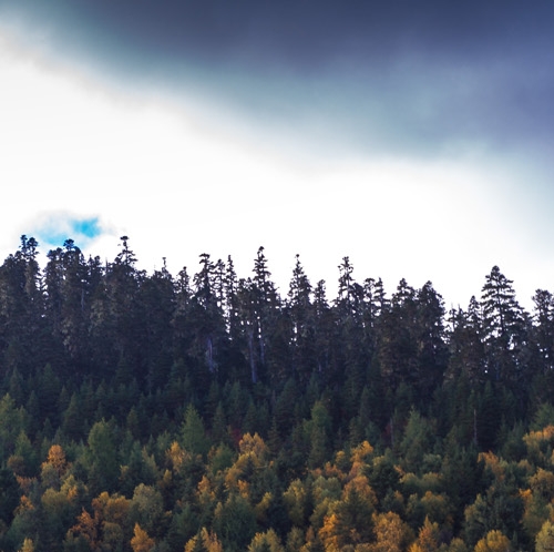 粉象生活到底能不能做
