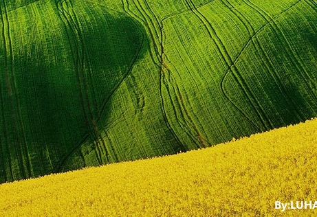 粉象生活怎样和上级解绑