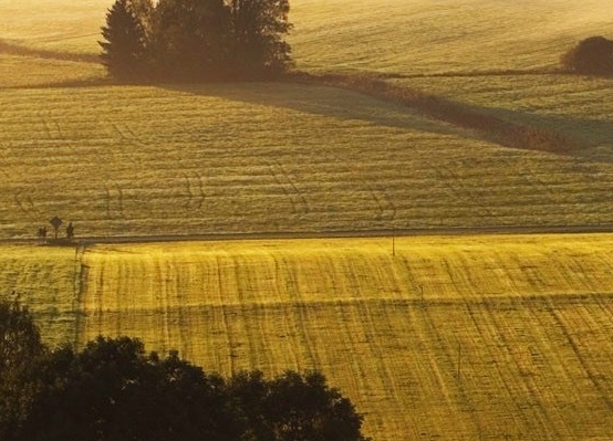 粉象生活可以赚钱吗