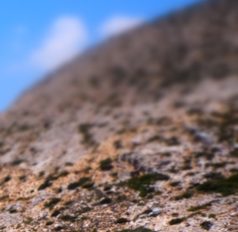 粉象生活真实待遇