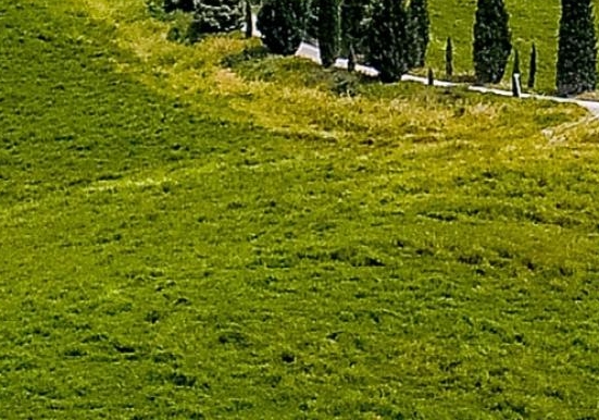 茉莉香鸭颈王加盟