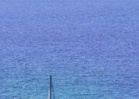 粉象生活可以赚钱吗