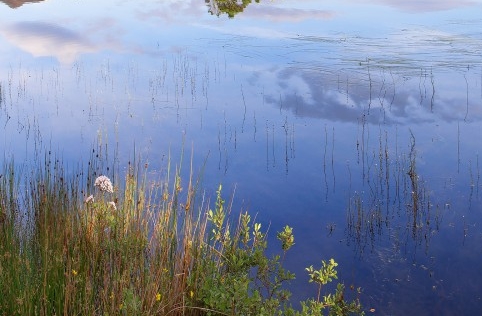 粉象生活是正规的吗