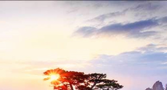 粉象生活可以赚钱吗