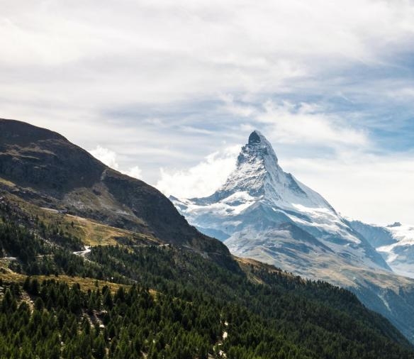 粉象生活邀请人怎么看