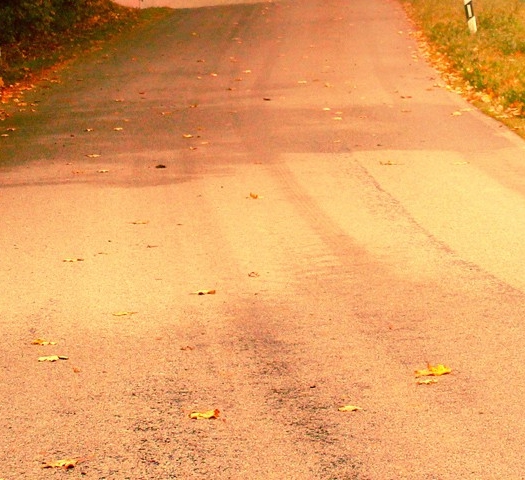 汕尾粉象生活赚钱