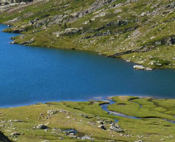 粉象生活是怎么挣钱的