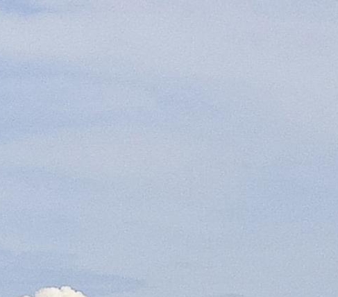 粉象生活下载app