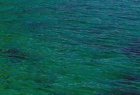 粉象生活收益标准