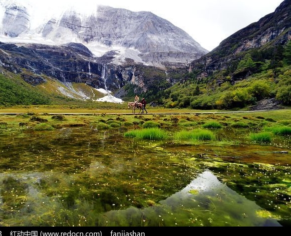 粉象生活神器介绍